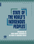 State of the world's indigenous peoples : implementing the United Nations Declaration on the Rights of Indigenous Peoples