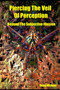 Piercing The Veil of Perception : Beyond the Subjective Illusion by Douglas Michael - Paperback
