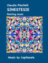 Sinestesie : Painting music by Claudia Piscitelli - Paperback