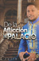 De la Afliccion al Palacio by Julio Cesar Febles Jose - Paperback