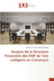 Analyse de la Structure Financiere Des Emf de 1ere Categorie Au Cameroun