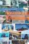 SOS Cetacea : (version espanola)