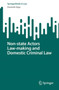 Non-state Actors Law-making and Domestic Criminal Law