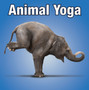 Animal Yoga by Willow Creek Press - Hardback