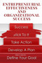 Entrepreneurial effectiveness and organizational success