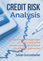 Credit Risk Analysis : development and application of a self-constructed internal rating system based on classical approaches