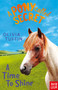 A Pony Called Secret: A Time To Shine