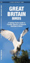 Great Britain Birds : A Folding Pocket Guide to Familiar Species of England, Scotland & Wales