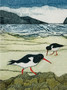 Wild Birds Pocket Notebook: Oystercatcher