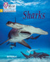 Sharks : Phase 5 Set 1