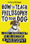 How to Teach Philosophy to Your Dog by Anthony McGowan - Paperback