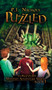Puzzled (The Puzzled Mystery Adventure Series : Book 1) : 1