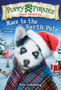 Puppy Pirates Super Special 3 : Race to the North Pole