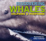 Discovering Whales, Dolphins and Porpoises : The Ultimate Guide to the Ocean's Largest Mammals