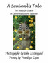 A Squirrel's Tale : The Story of Charlie, a California Ground Squirrel