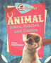 Animal Jokes Riddles and Games