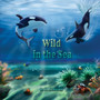 Wild in the Sea