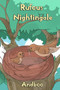 Rufous Nightingale : 1