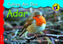 Cyfres am Dro: 3. Adar