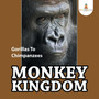 Monkey Kingdom : Gorillas To Chimpanzees