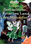 Lillys fantastische Reise ins Land der Mausefee