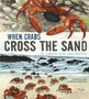 When Crabs Cross the Sand : The Christmas Island Crab Migration