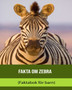 Fakta om Zebra (Faktabok foer barn)