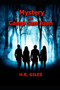 Mystery at Camp San Juan