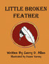 Little Broken Feather
