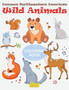 Common Northeastern American Wild Animals Coloring Book
