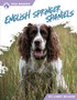 English Springer Spaniels