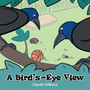 A Bird's-Eye View