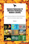 Ratonero Valenciano 20 Milestone Challenges : Outdoor & Activity Ratonero Valenciano Milestones for Memorable Moments, Outdoor Fun, Socialization, Agility, Training Volume 3