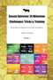 Basset Retriever 20 Milestone Challenges : Tricks & Training Basset Retriever Milestones for Tricks, Socialization, Agility & Training Volume 1