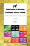 Pudel Pointer 20 Milestone Challenges : Tricks & Training Pudel Pointer Milestones for Tricks, Socialization, Agility & Training Volume 1