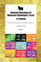 Shetland Sheepdog 20 Milestone Challenges : Tricks & Training Shetland Sheepdog Milestones for Tricks, Socialization, Agility & Training Volume 1