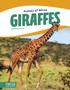 Animals of Africa: Giraffes
