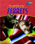 Ferrets