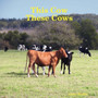 This Cow These Cows