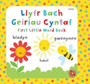 Llyfr Bach Geiriau Cyntaf
