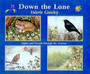 Down the Lane : Sights and Sounds Through the Seasons