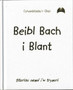 Beibl Bach I Blant (Lledr Gwyn)