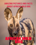 African Wild Dog : Amazing Pictures and Facts About African Wild Dog