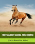 Facts About Akhal Teke Horse (Facts Book For Kids)