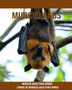 Murcielagos : Murcielagos para ninos! Libros de murcielagos para ninos Murcielagos : Murcielagos para ninos! Libros de murcielagos para ninos