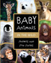 Baby Animals in the Wild : Photos and Fun Facts