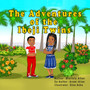 The Adventures of the Ibeji Twins