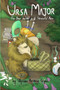 Ursa Major : The Bear buried in a Stressful Mess : 8
