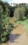 A Boy A Dog and A Creek.