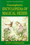 Encyclopaedia of Magical Herbs by Scott Cunningham - Paperback